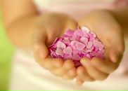 Фотография Чесноков Александр