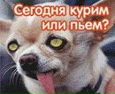 Вітя Перебиковський фотография #1