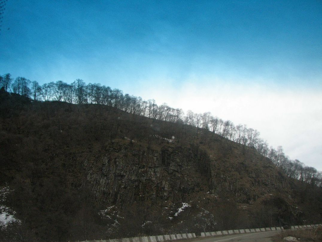 Никита Орлов фотография #15