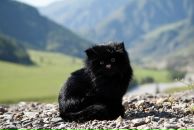 Євген Квасков фотография #32 (источник - https://vk.com/id4674369)