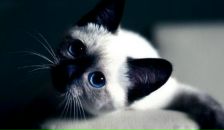 Фотография Поповой Алёны