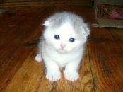 Фотография Андриянов Сергей