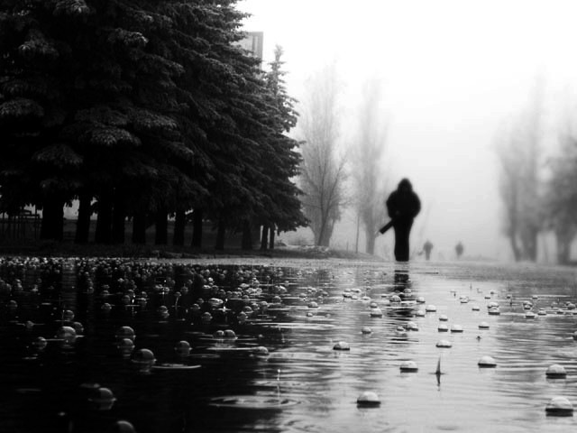 Тимур Ленг фотография #25