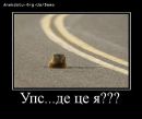 Віталік Скопик фотография #48 (источник - https://vk.com/id27872894)