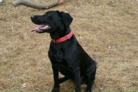 Вова Юрочкін фотография #42 (источник - https://vk.com/id15084244)