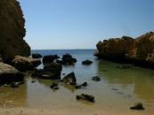 Наталья Софронова фотография #23 (источник - https://vk.com/id5466782)