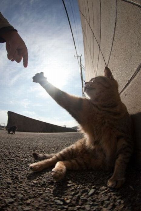 Иван Цупрунов фотография #37