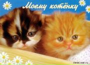 Ангеліна Назарук фотография #45 (источник - https://vk.com/id132363633)