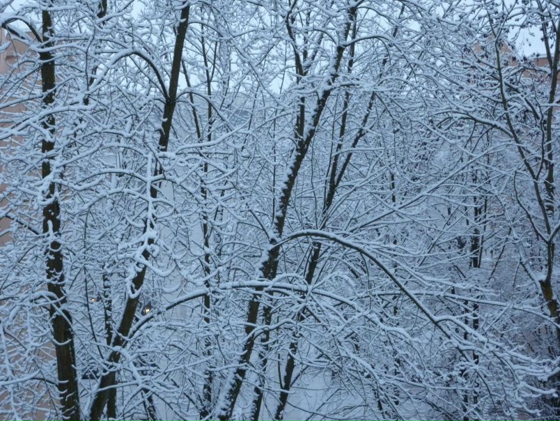 Дмитрий Николенко фото №3