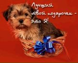 Іван Рябчун фотография #12 (источник - https://vk.com/id123185449)