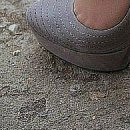 Іруся Костецька фотография #37 (источник - https://vk.com/id133052785)