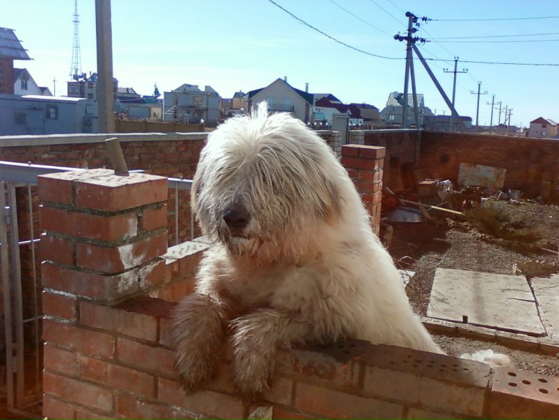 Иван Иванов фото №3