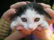 Фотография Савицкой Ирины