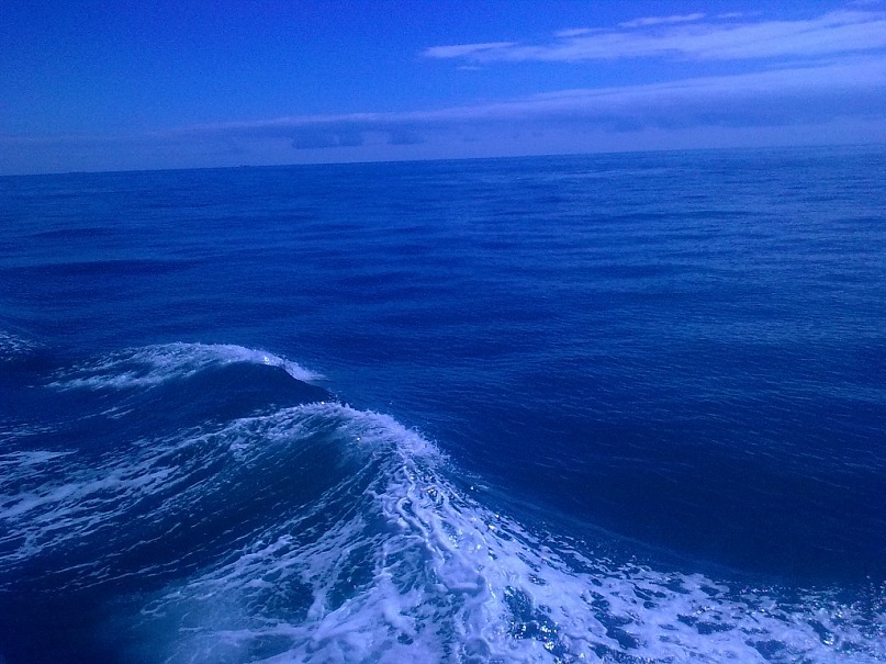 Роман Пятраускас фотография #23