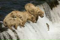 Фотография Андрианова Святослава