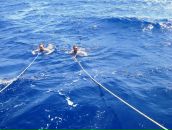 Сергей Усачев фотография #6 (источник - https://vk.com/id2496580)