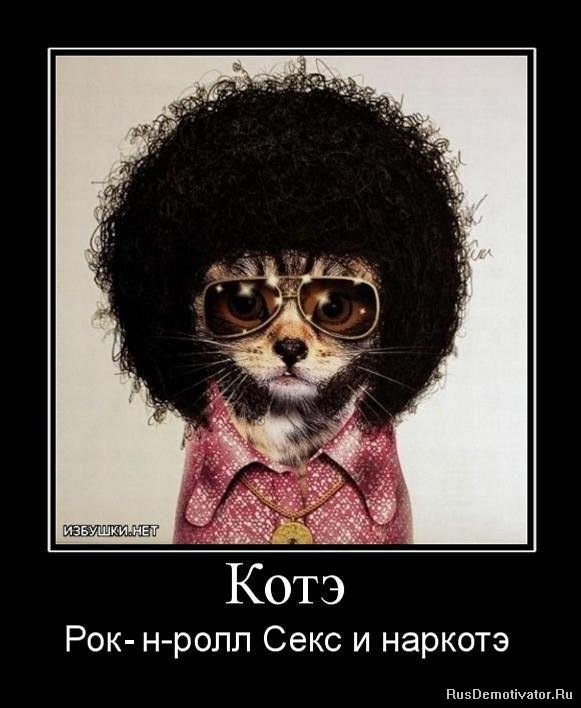 Игорь Измайлов фотография #27