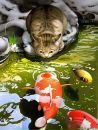 Фотография Матюх Аллы