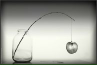 Фотография Погодиной Анны