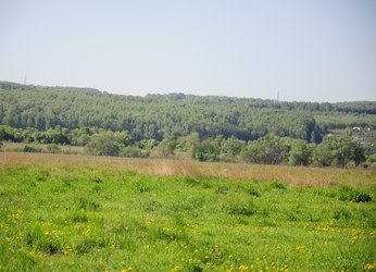 Подмосковье, Серпуховский район, д. Никифорово, дом 2-этажный бревенчатый, 120 кв. м, электричество подведено к дому, 25 соток земли, участок освоен, огорожен деревянным забором. На территории вековые дубы, березы. Дом находится в заповедном, экологически чистом месте, в лесу. В 15 минутах ходьбы р. Ока. Конт...