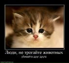 Фотография Ильина Виктора