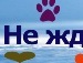 Ілонка Вихопень фотография #37 (источник - https://vk.com/id138294509)