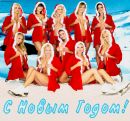Міша Богаш фотография #1