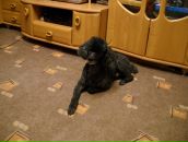 Фотография Елесиной Татьяны