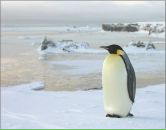 Фотография Обухова Стаса