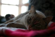 Фотография Коняевой Надежды