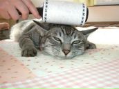 Фотография Сульдина Константина