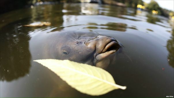 Dfbdfbdfb Dfbdfbdfbdfb фото №1