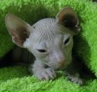 Фотография Винокуровой Марии