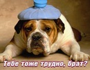 Паша Мыцарь фотография #21 (источник - https://vk.com/id138801775)