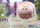 Фотография Кыркунова Дмитрия