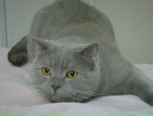 Фотография Львовны Маргариты