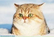 Міша Ніколайчук фотография #25 (источник - https://vk.com/id23152228)