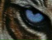 Олександр Андрієнко фотография #37 (источник - https://vk.com/id23256022)