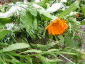 Фотография Маркевич Натальи