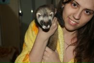 Фотография Войлошниковой Людмилы