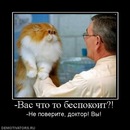 Фотография Жении Прило