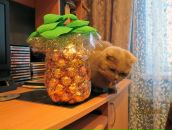 Любовь Κарасева фотография #11 (источник - https://vk.com/id131663452)