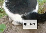 Фотография Давыдюк Виктории