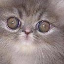 Христина Якімець-Максимяк фотография #41 (источник - https://vk.com/id21782638)