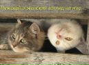 Анастасія Пеценчук фотография #34 (источник - https://vk.com/id131558705)