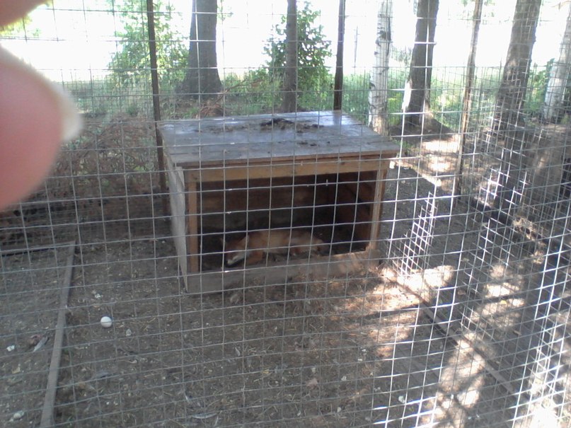 Виктор Крутиков фотография #44