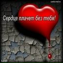 Свєтік Ковеня фотография #4 (источник - https://vk.com/id107538297)