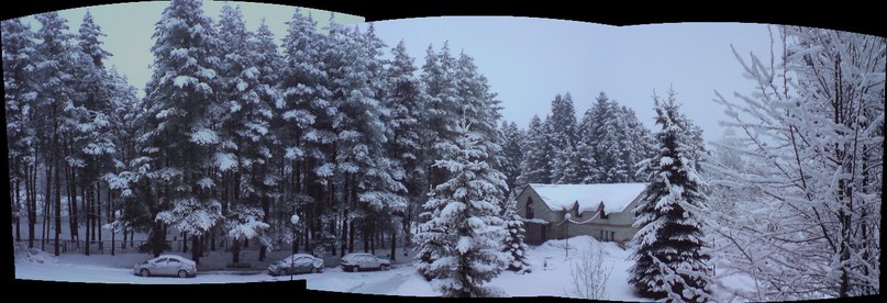 Дмитрий Куц фотография #21