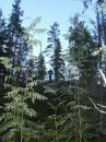 Тетяна Кобилєва фотография #33 (источник - https://vk.com/id81437401)