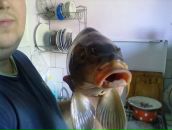 Володимир Григорів фотография #13 (источник - https://vk.com/id77917528)